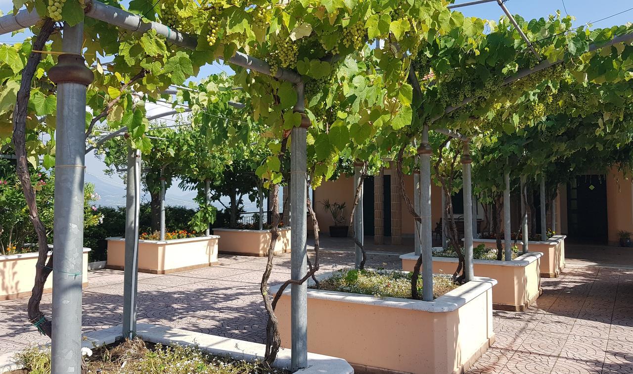 Lisandro Wine Resort Apartments Caserta Castel Campagnano Extérieur photo