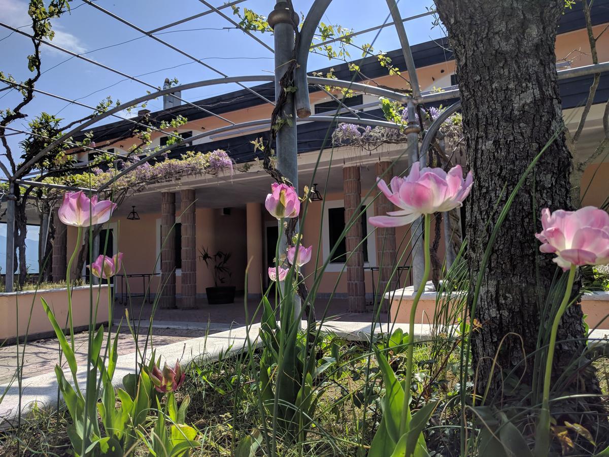 Lisandro Wine Resort Apartments Caserta Castel Campagnano Extérieur photo